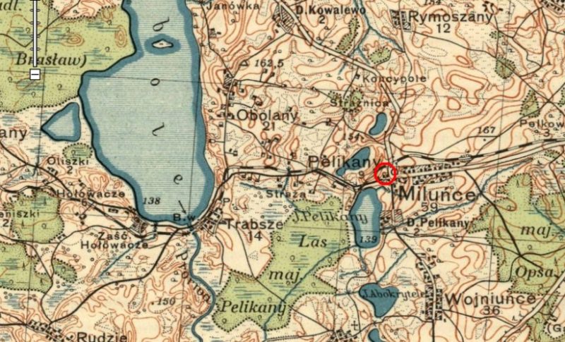 Obrazek Cmentarz w Pelikanach (międzywojenny Powiat Brasławski) – Pochowani, których nazwiska zaczynają się na litery C-H (obok mogą znajdować się groby, w których pochowane są osoby o nazwiskach zaczynających się na inne litery)